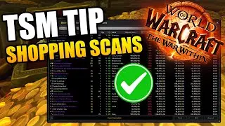 You Are Using TSM Wrong! TSM Shopping Tip in The War Within