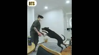 Чонгук  и его  щенок  🐕 Бам