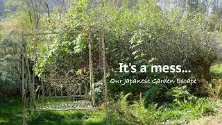 Preparing for Garden Landscaping | Our Japanese Garden Escape