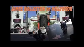 James Wallestein en Hollywood Boulevard   California