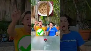 HILARIOUS Guess the Food Challenge😂😂