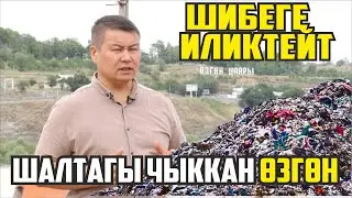 Абалың ушулбу Өзгөн? 