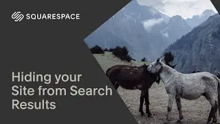 Hiding your Site from Search Results | Squarespace 7.1