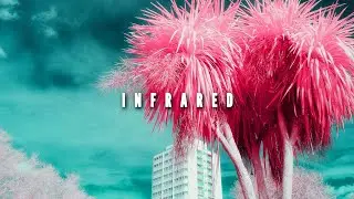 Infrared Photography (Still Afraid)