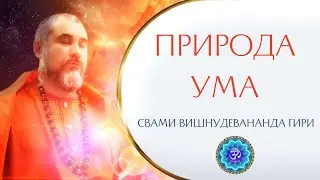 Какова природа ума? | Свами Вишнудевананда Гири