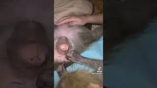 Я просто лежу с закрытыми глазами🤣