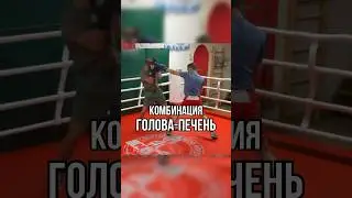 Голова - печень 