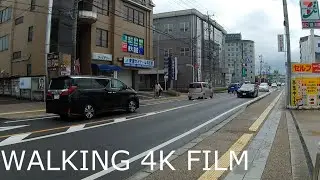 [4K HDR] Walking Around Kani city town shopping street Japanese Tour 2021