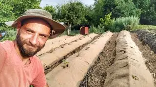 Живот на СЕЛО: Мулчиране с ... ЧУВАЛИ?  ☼ Имение ХАЛО ☼