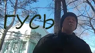 4 сезон 11 серия (ГУСЬ)