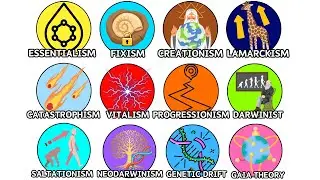 Every Evolution Theory Explained in 16 Minutes