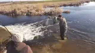 Ловля карасиков в кастинговую сеть