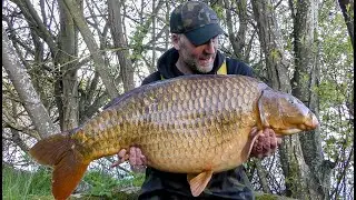 A frustrating spring - CARP FISHING May 2024
