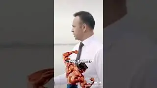 Сколько стоит выступление Шварцнегера 🔥