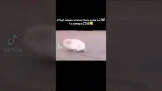 бегу с гулянки домой дома ждут  мои любимые родители буду получать звиздюлей 🤣🤣🤣🤣🤣🤣
