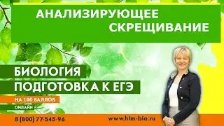 Анализирующее скрещивание с примерами. Очень просто. Подготовка к ЕГЭ и ОГЭ по биологии
