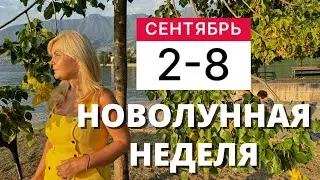 ГОРОСКОП НА НЕДЕЛЮ С 2 ПО 8 СЕНТЯБРЯ 2024 ГОДА ОТ VENUSLIFE
