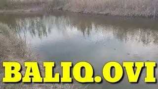 FISHING рыбалка BALIQ OVI QOLDA