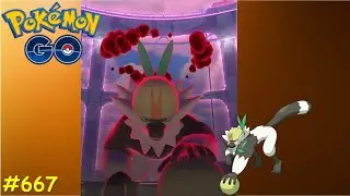 Mein erstes Dynamax-Quartermak 🐵| Pokemon GO #667