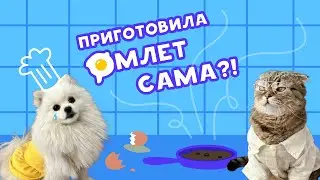 ОМЛЕТНЫЙ ПОЖАР