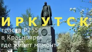 из Иркутска в Красноярск трасса Р255 Сибирь на Алтай памятник Колчаку, Мамонт в Мальта Байкал 2020
