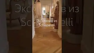 Эксклюзив из Schiaparelli 