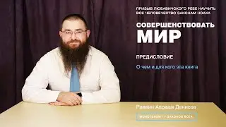 Совершенствовать мир. Предисловие. О чем и для кого эта книга.