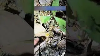 Родился до изобретения страха 6 #истории #история #новости #новость #добрыеновости