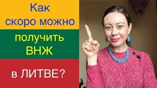 Как быстро выдается ВНЖ в Литве?