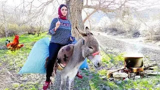 Village Lifestyle Iran: Amazing Donkey Riding & Tasty Cooking Outdoor