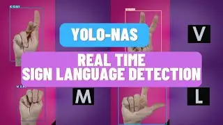 Real Time Sign Language Detection with YOLO-NAS and Webcam : Step by Step Tutorial | Custom Dataset