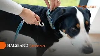 HUNTER | Halsband CONVENIENCE