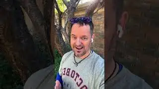 Liberals EXPOSED: Can You Guess What They're Trying to Hide?