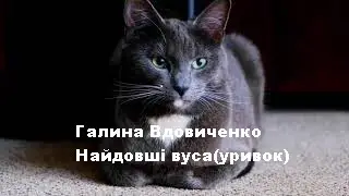 Галина Вдовиченко-Найдовші вуса(уривок)аудіо