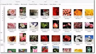 Training Residual Neural Network with your own dataset