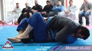 Nexus Challenge