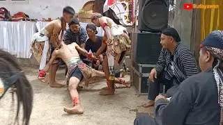 Ngeri ❗ KESURUPAN GANAS KUDA LUMPING TURONGGO SURYO KENCONO