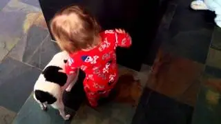 baby petting the puppies