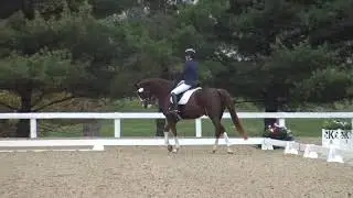 Amanda Braun and Commando - USDF Dressage Finals