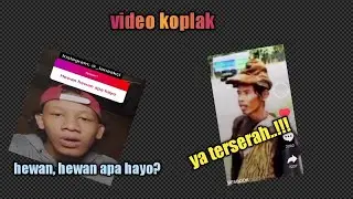 video viral ngeleg bukan sembarang ngeleg, hewan hewan apa hayo???🗿