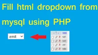 dynamic dropdown in HTML and fetching data from mysql using php
