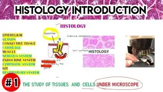 Histology - introduction | Next | Neet pg