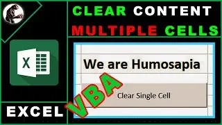 How to Clear Cells in Excel with Button | Microsoft Office