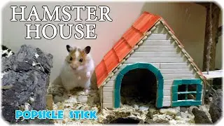 DIY Hamster House.  Popsicle stick Hamster house