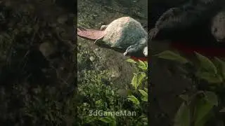 Eager Beaver! 🦫 (Legendary Beaver Location) - Red Dead Redemption 2 (RDR2) 
