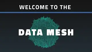 Is Data Mesh the Future?