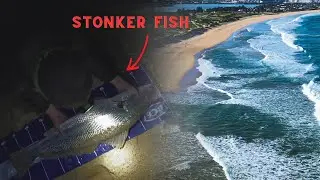 HUNTING Jewfish on the NEWCASTLE BEACHES