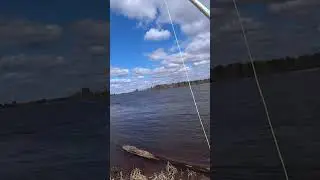 Случай на рыбалке. У КОГО ТАКОЕ БЫЛО? ПАЛЕЦ в ВЕРХ! 