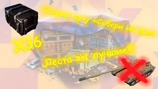 ЛЕСТА, ВЫ ЛУЧШИЕ | ОТКРЫЛ МНОООГО КОНТЕЙНЕРОВ 