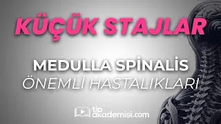TUS Küçük Stajlar - Medulla Spinalis Önemli Hastalıkları | Dr. Ö. Selim Solmaz